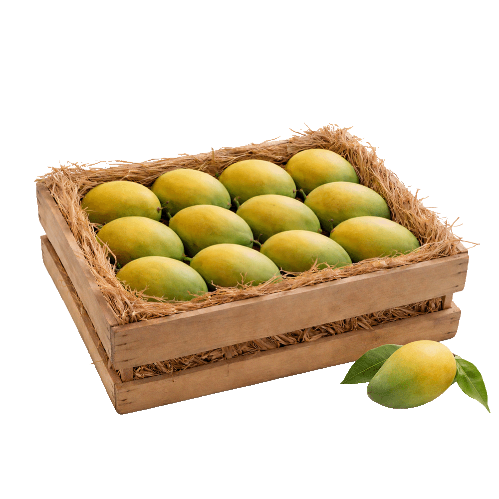 Pre-Order Kesar - 1 Dozen (Trial Box)