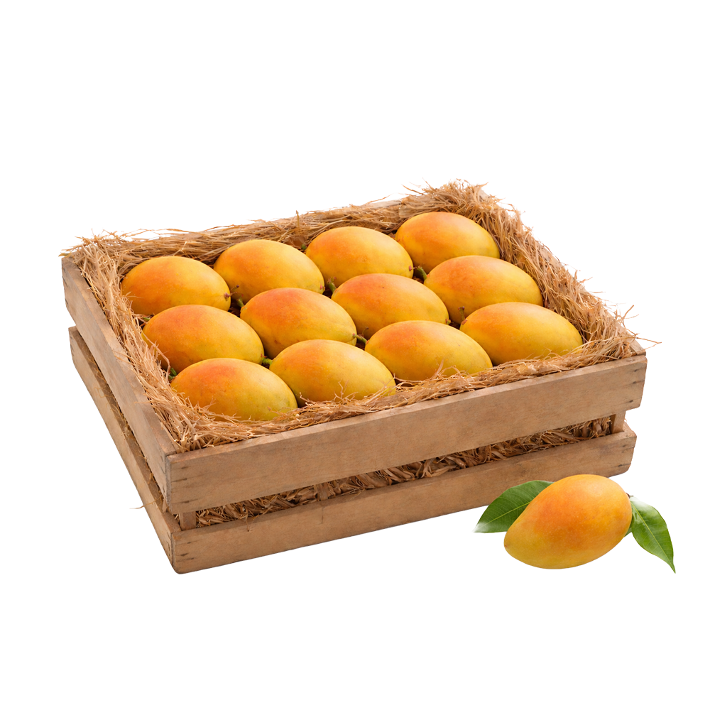 Alphonso (Classic Size) - 1 Dozen (Trial Box)