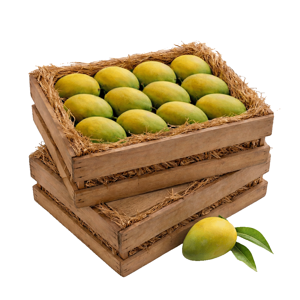 Pre-Order Kesar - 2 Dozen (Value Pack)