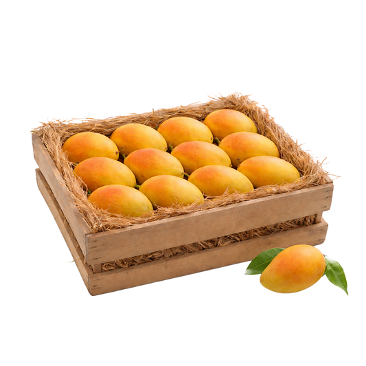 Alphonso (Classic Size) - 1 Dozen (Trial Box)