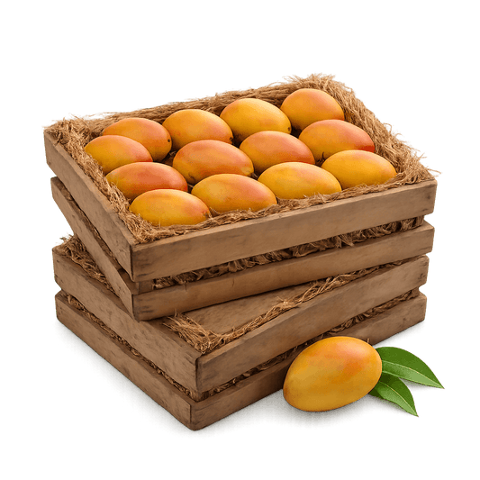 Alphonso (Classic Size) - 2 Dozen (Value Pack)