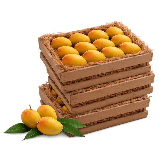 Alphonso (Classic Size) - 3 Dozen (Family Pack)